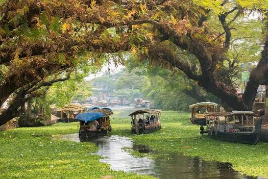 Kerala tour