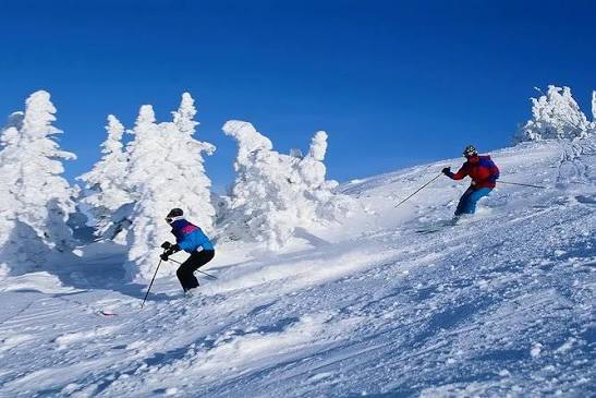 Skiing during Manali Tour